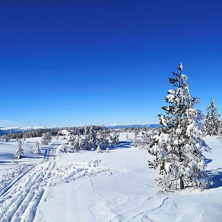 Vila Bakka Hovin Exteriér fotografie