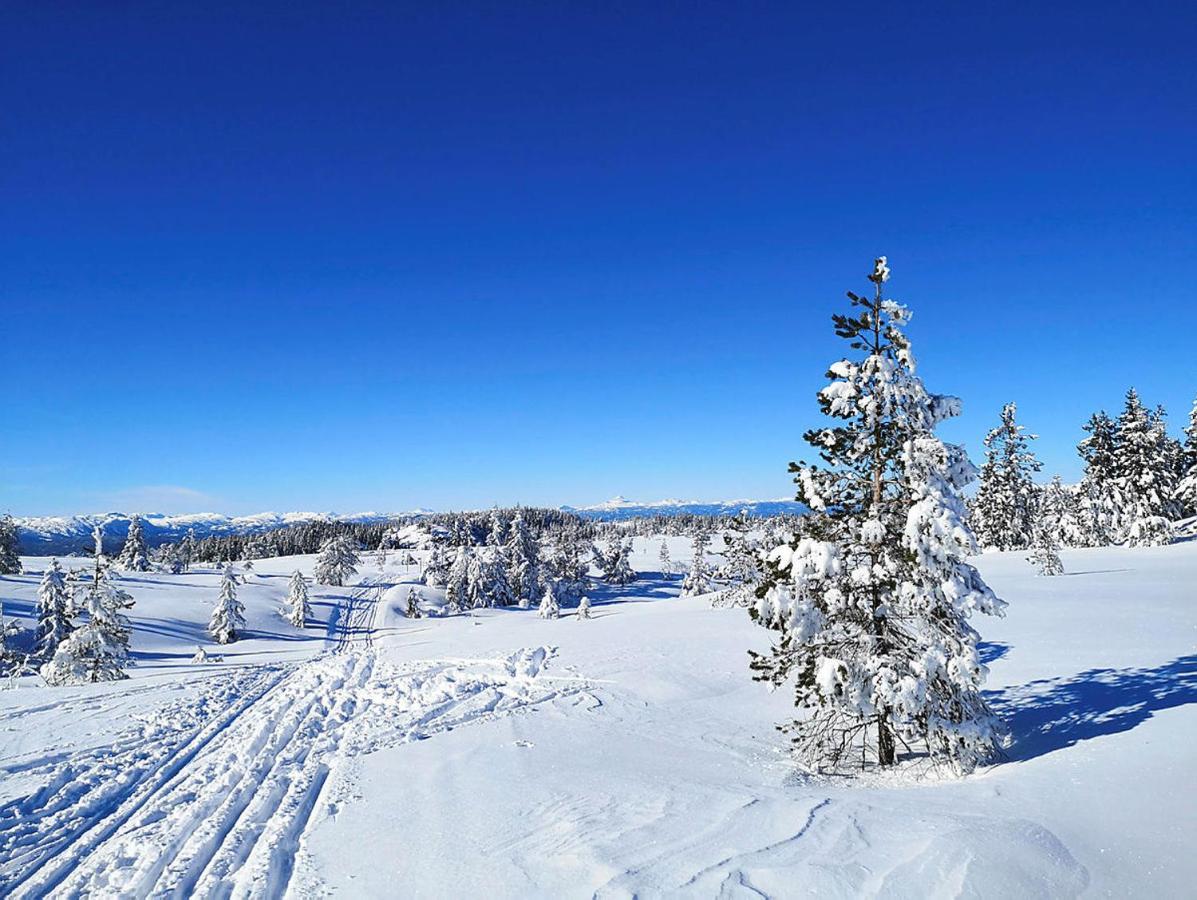 Vila Bakka Hovin Exteriér fotografie